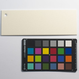 Passe-Partout Caneva kość...